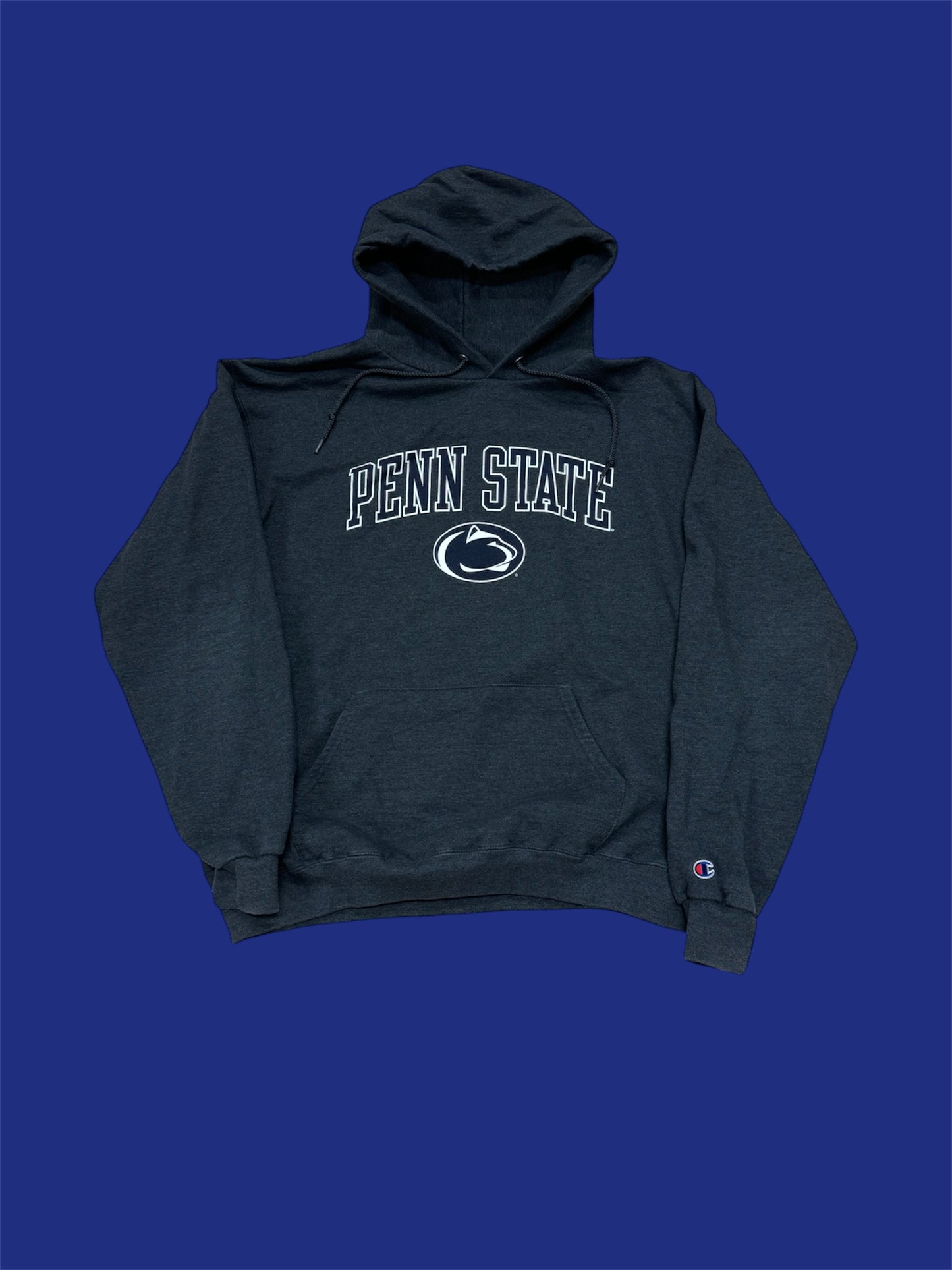 Penn State University Hoodie (Large)